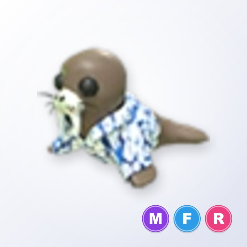 Summer Walrus MFR | Adopt Me
