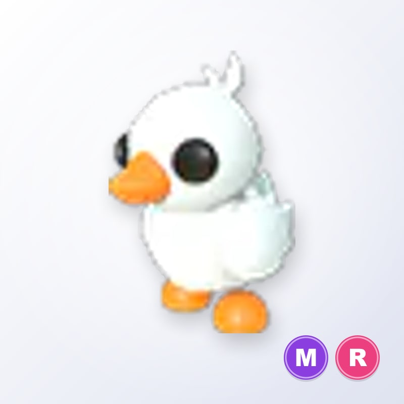 Happy Duckling MR | Adopt Me