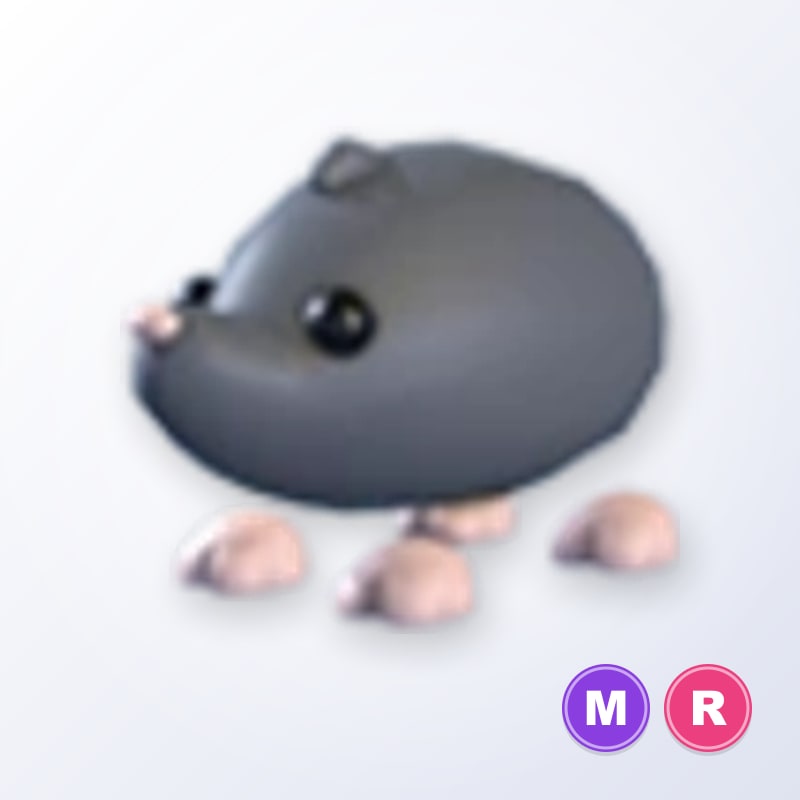 Sado Mole MR | Adopt Me
