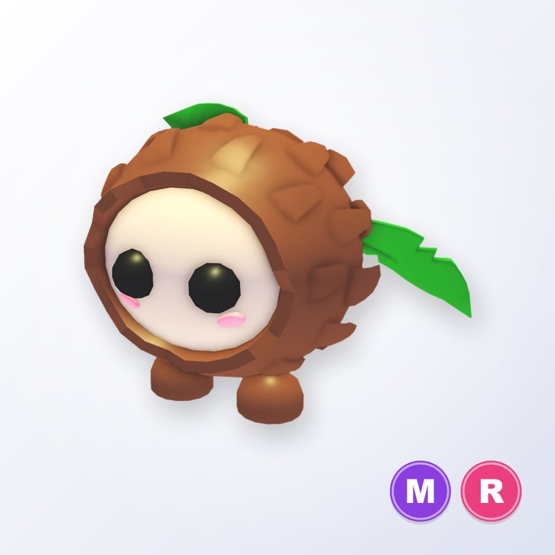 Coconut Friend MR | Adopt Me