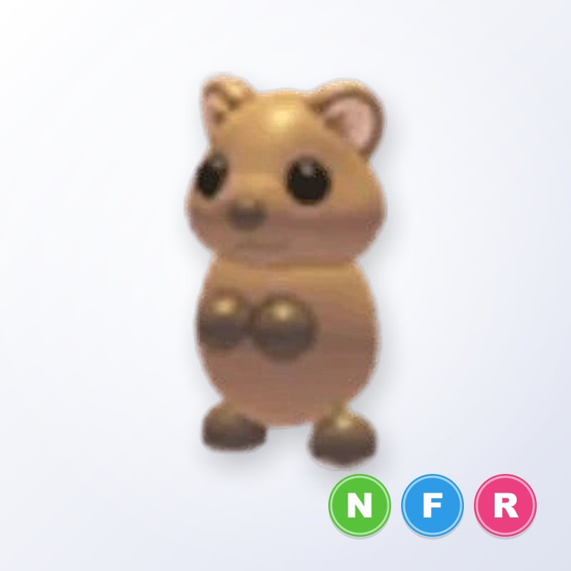 Quokka NFR | Adopt Me
