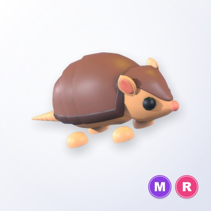 Armadillo MR | Adopt Me
