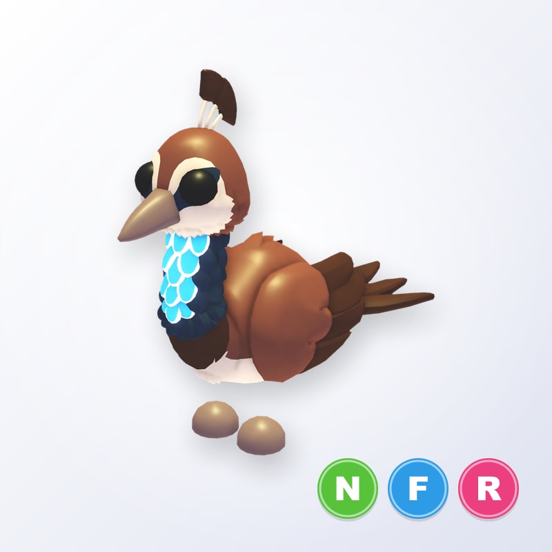Peahen NFR | Adopt Me