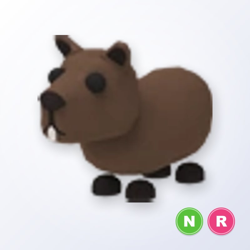 Capybara NR | Adopt Me