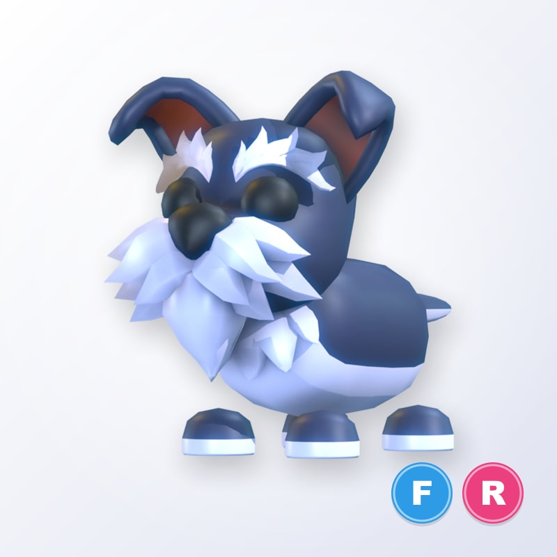 Mini Schnauzer FR | Adopt Me