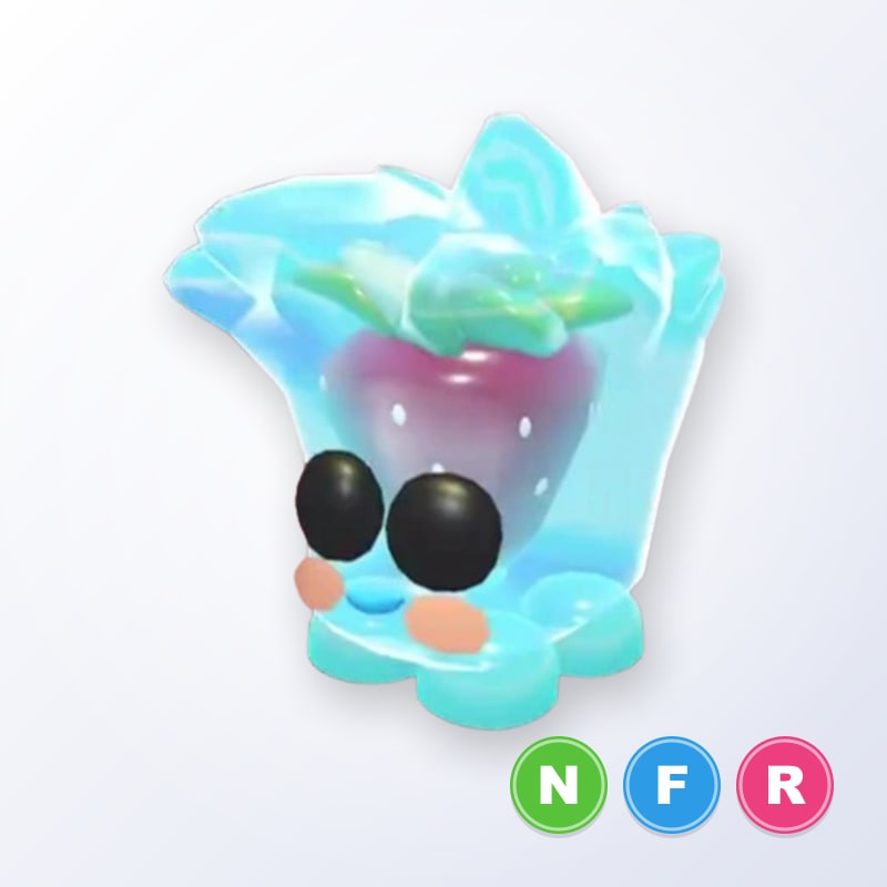 Berry Cool Cube NFR | Adopt Me