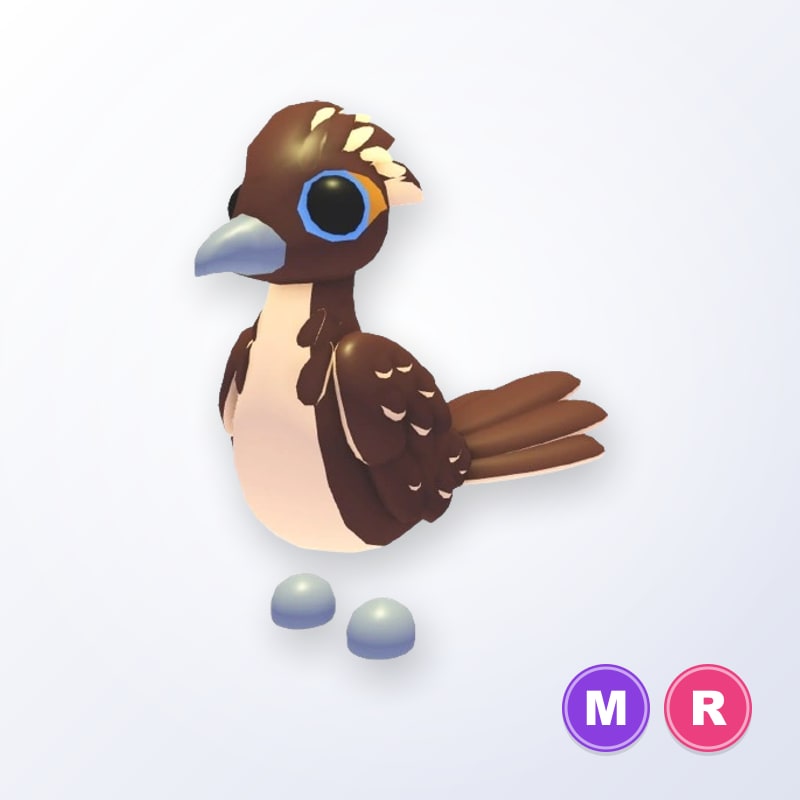 Roadrunner MR | Adopt Me