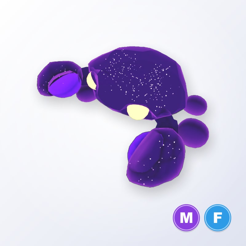 Glormy Crab MF | Adopt Me