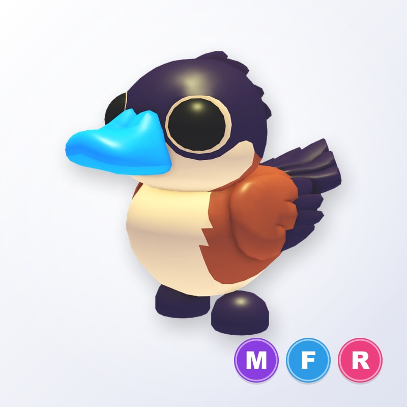 Ruddy Duck MFR | Adopt Me