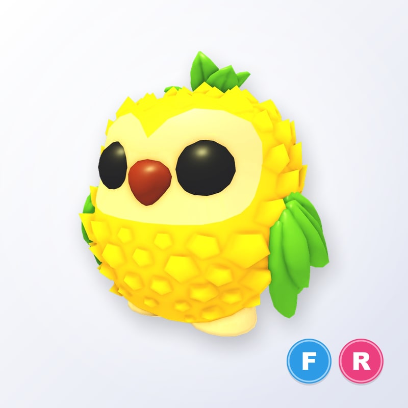 Pineapple Owl FR | Adopt Me