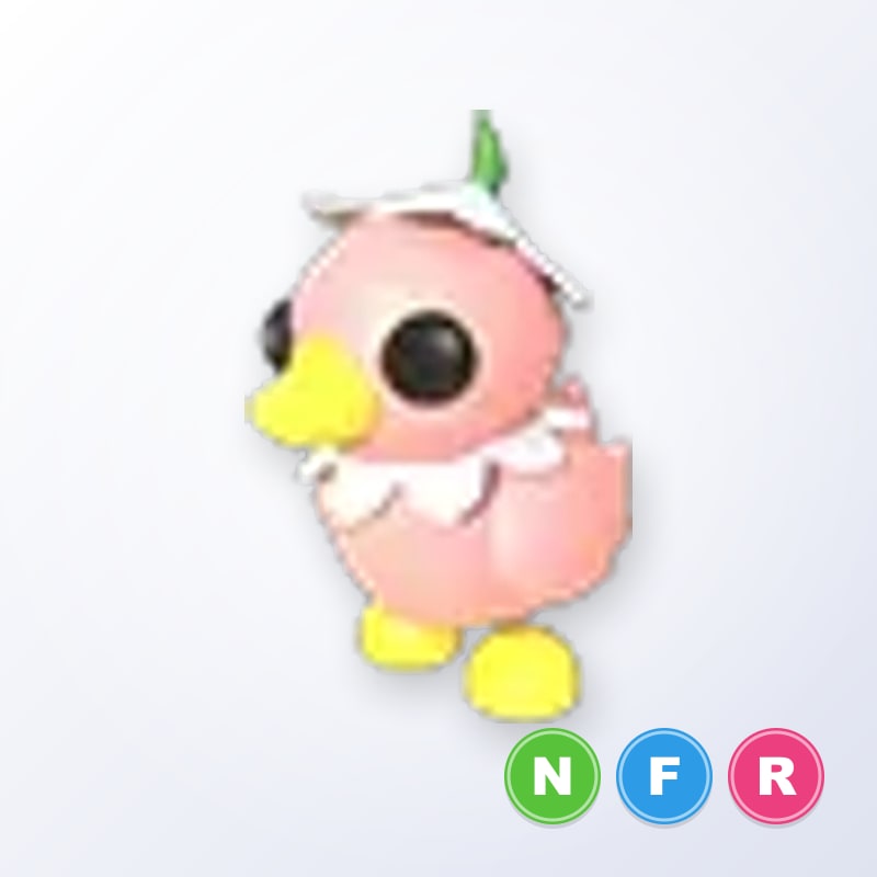 Flower Power Duckling NFR | Adopt Me