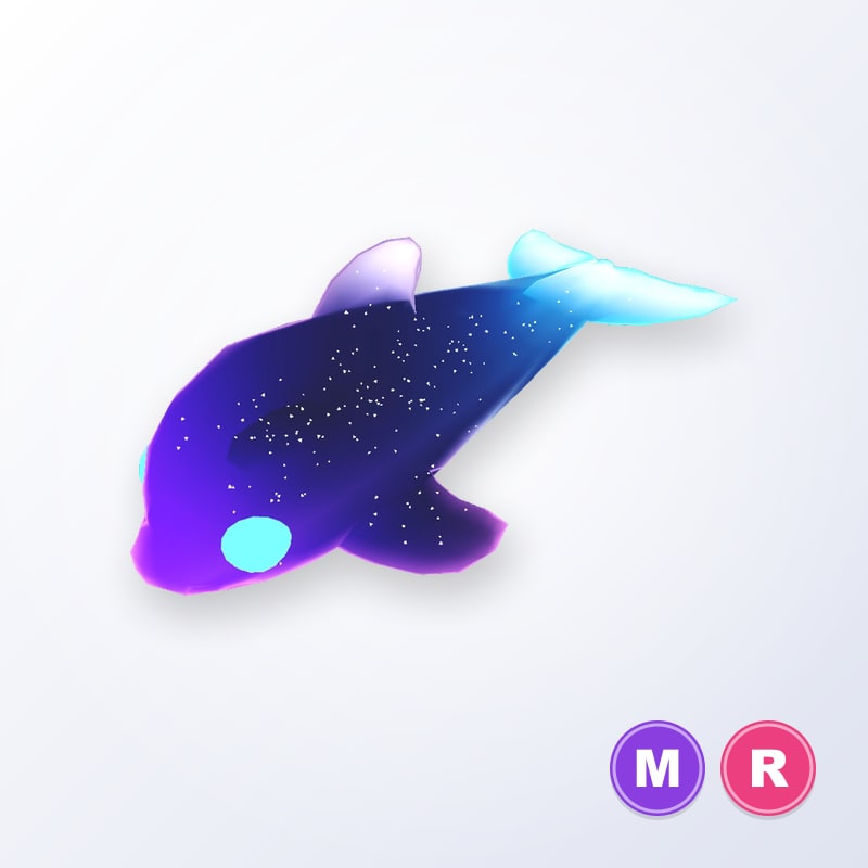 Glormy Dolphin MR | Adopt Me
