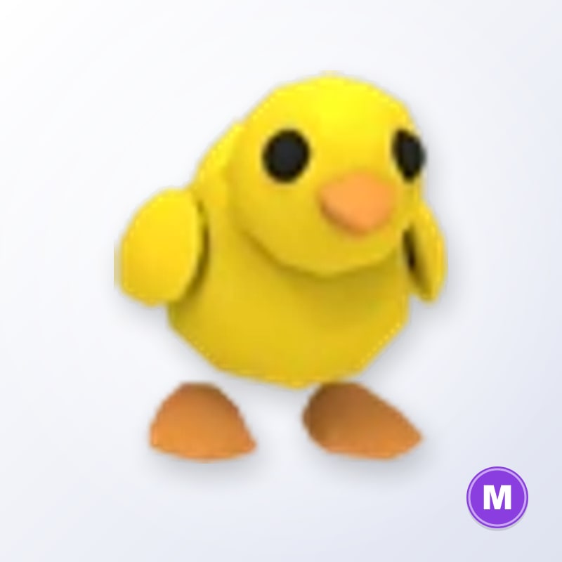 Chick M | Adopt Me