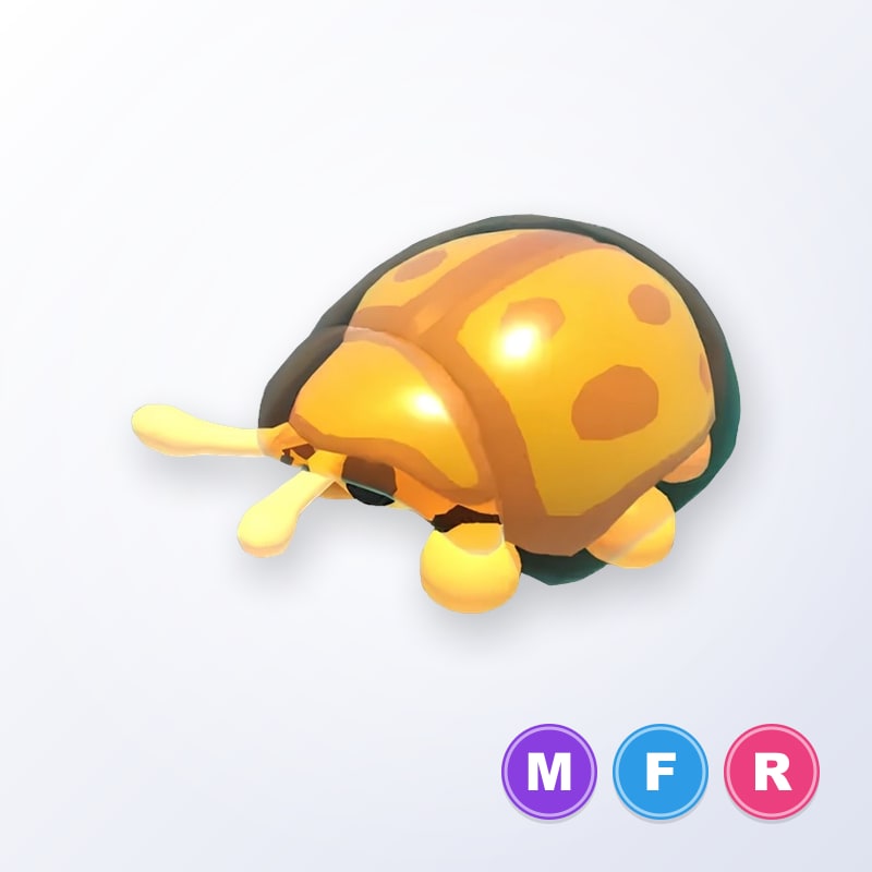 Golden Tortoise Beetle MFR | Adopt Me