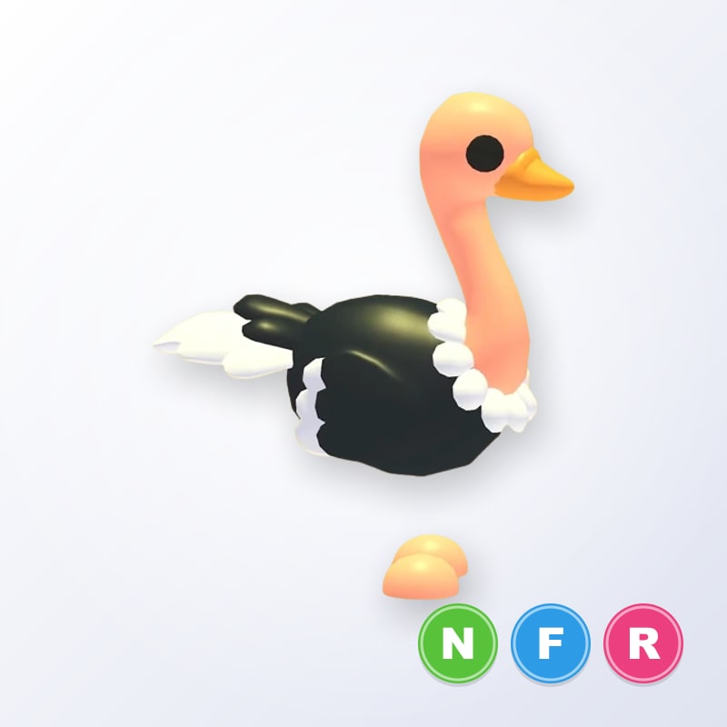 Ostrich NFR | Adopt Me