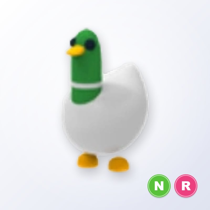 Silly Duck NR | Adopt Me