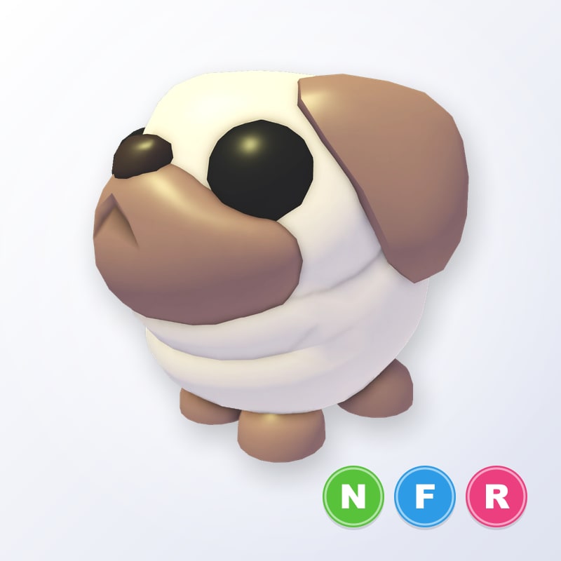 Snowball Pug NFR | Adopt Me
