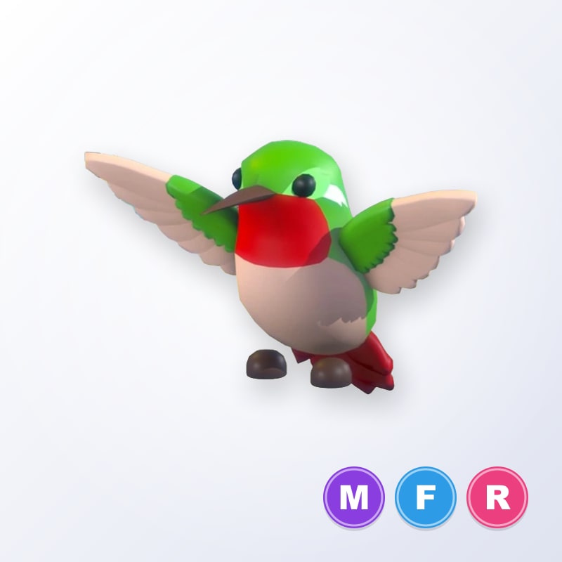 Hummingbird MFR | Adopt Me