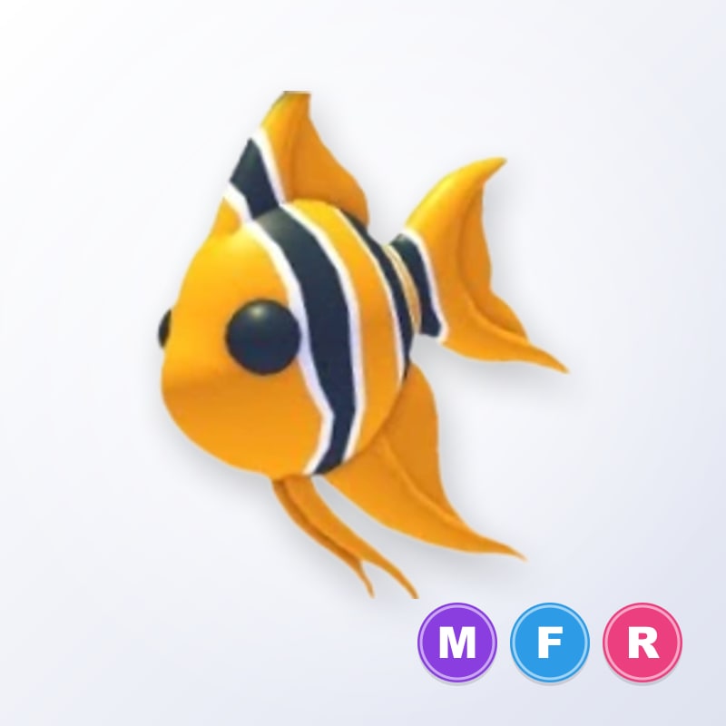 Angelfish MFR | Adopt Me