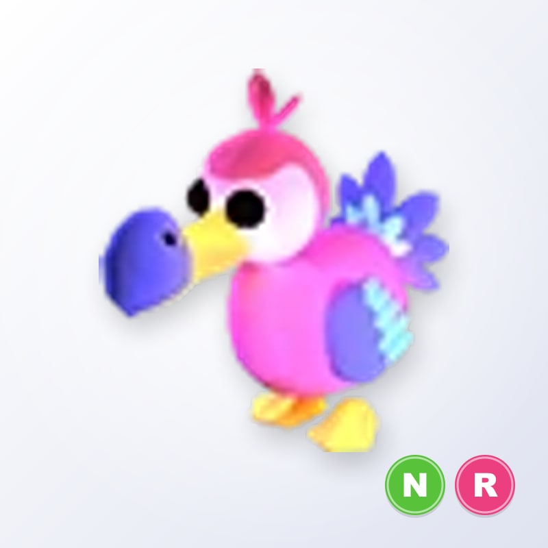 Dodo NR | Adopt Me