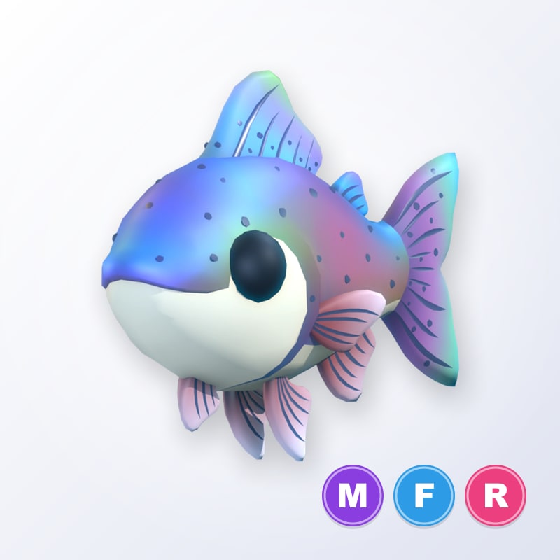 Rainbow Trout MFR | Adopt Me