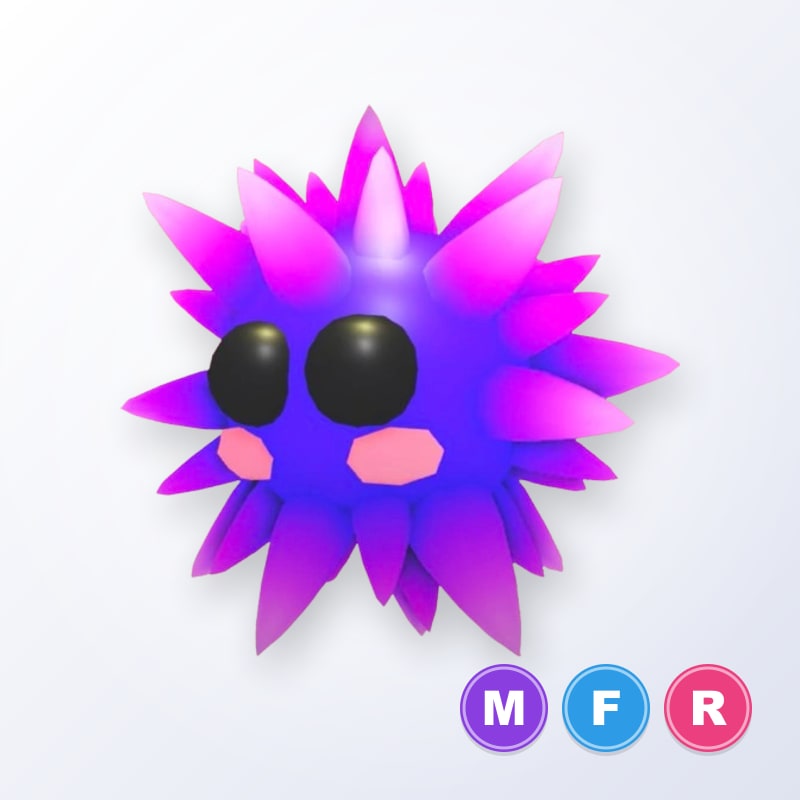 Urchin MFR | Adopt Me
