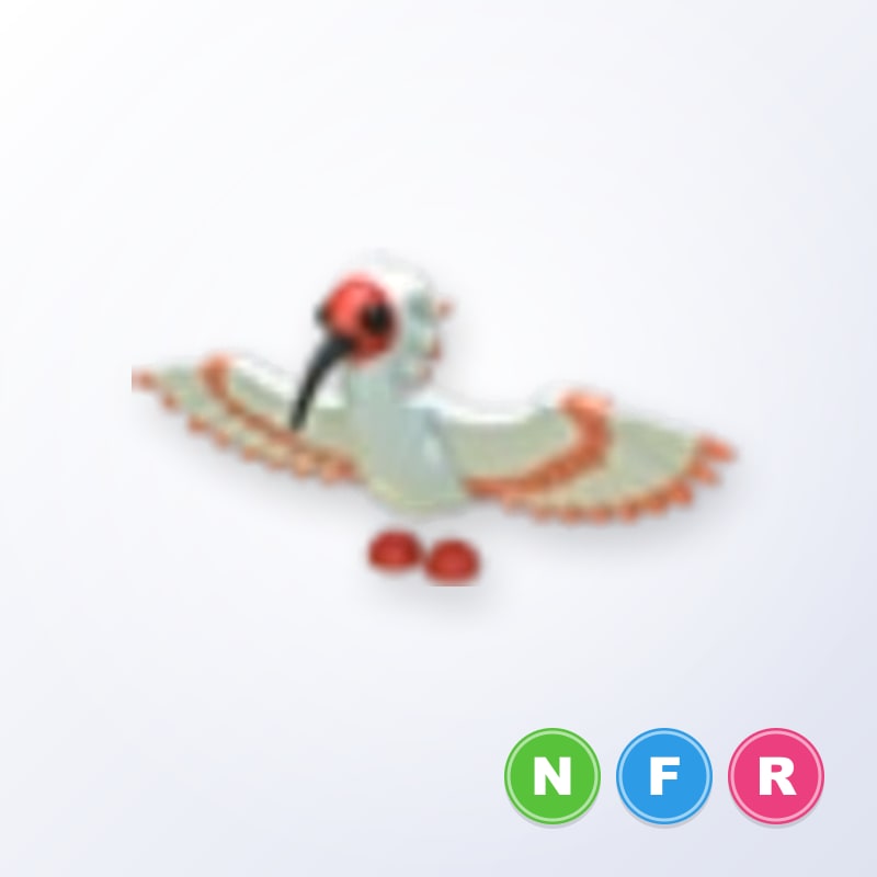 Ibis NFR | Adopt Me