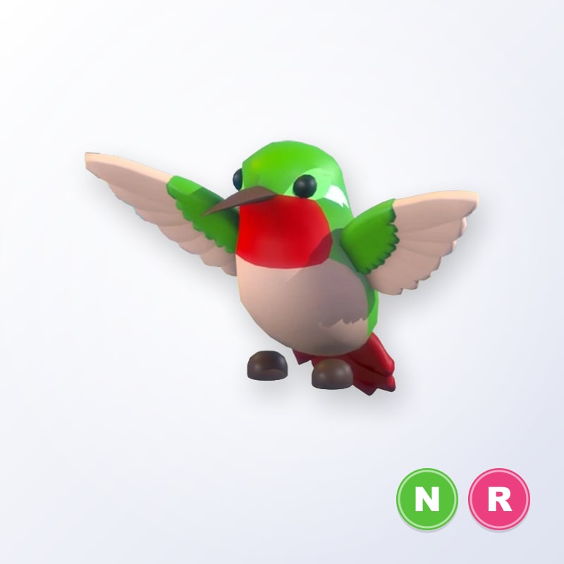 Hummingbird NR | Adopt Me