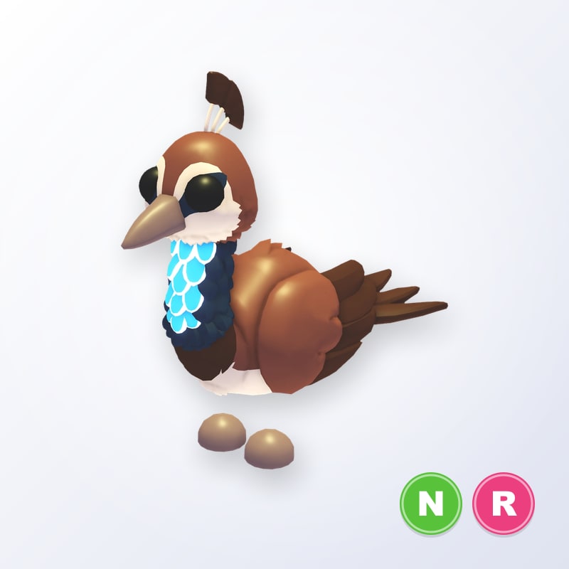 Peahen NR | Adopt Me