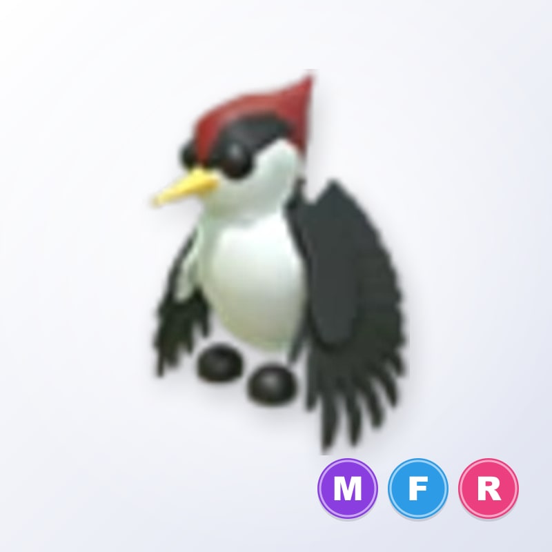 Woodpecker MFR | Adopt Me