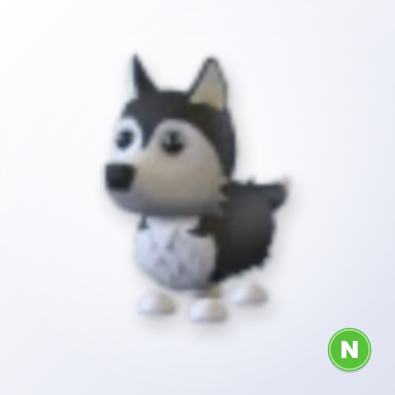 Husky N | Adopt Me