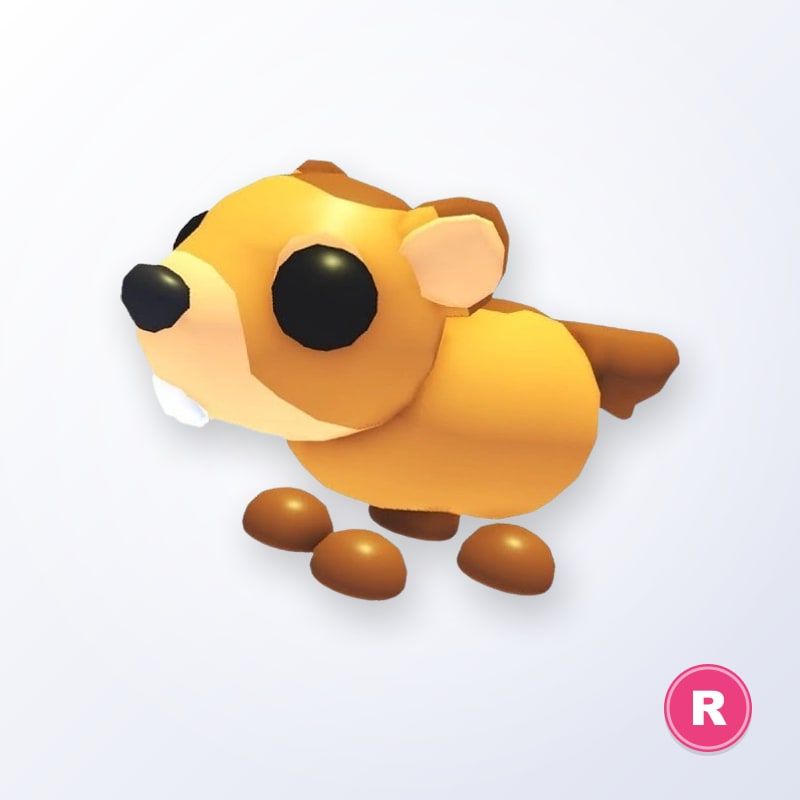 Groundhog R | Adopt Me