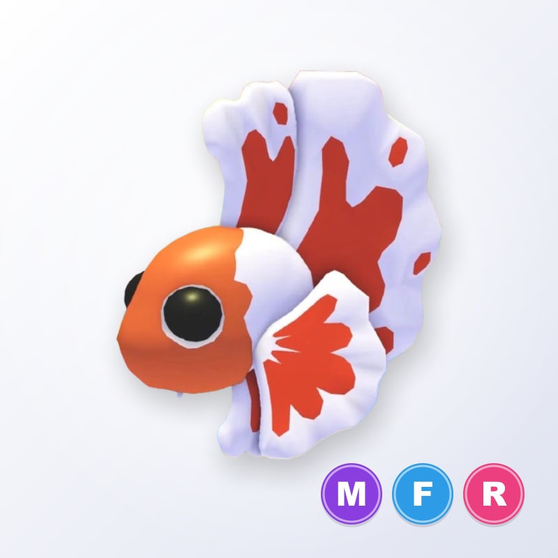 Orange Betta Fish MFR | Adopt Me