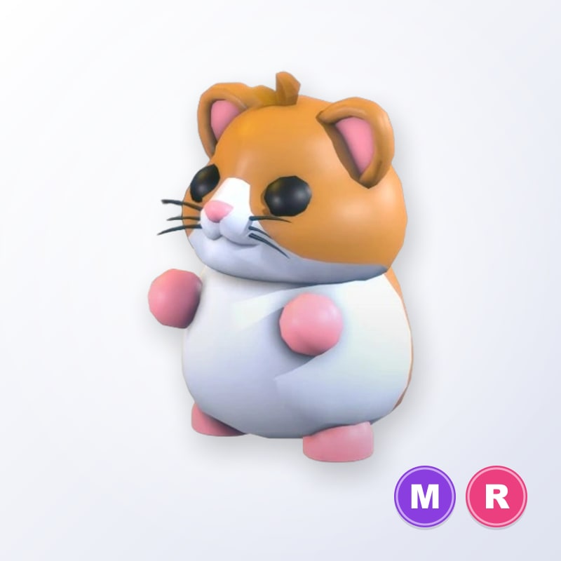 Hamster MR | Adopt Me