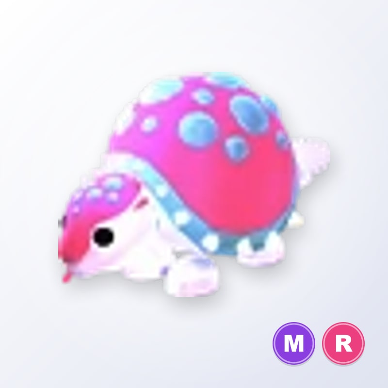 Glyptodon MR | Adopt Me