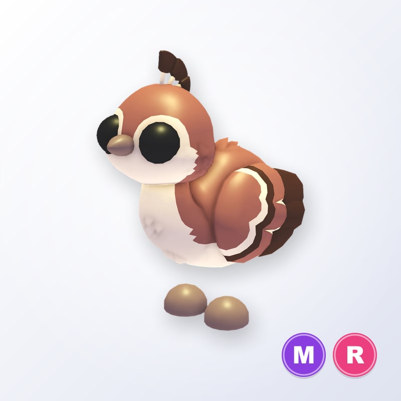 Peachick MR | Adopt Me