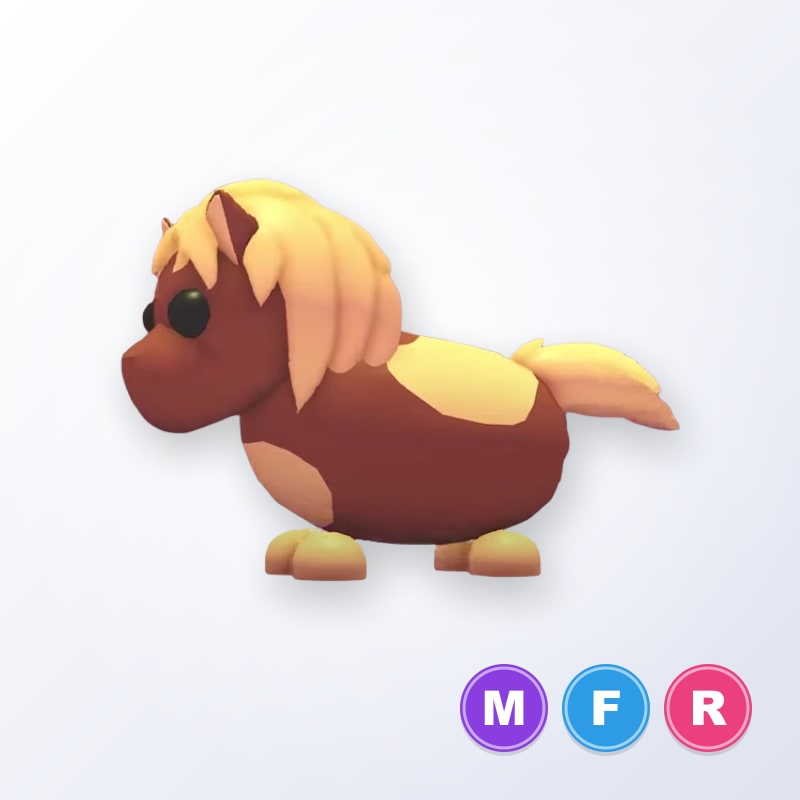 Shetland Pony Dark Brown MFR | Adopt Me