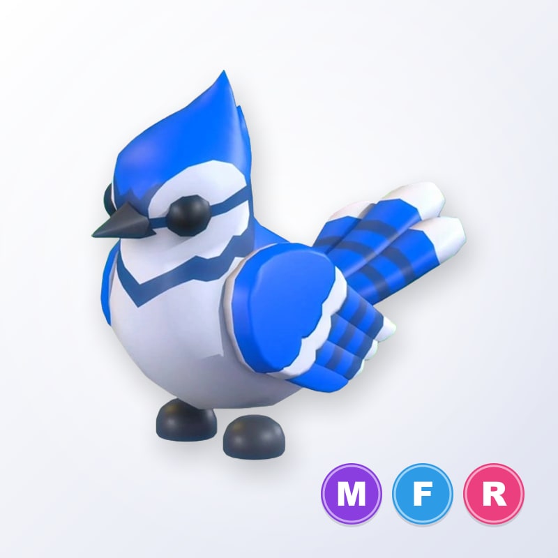 Blue Jay MFR | Adopt Me