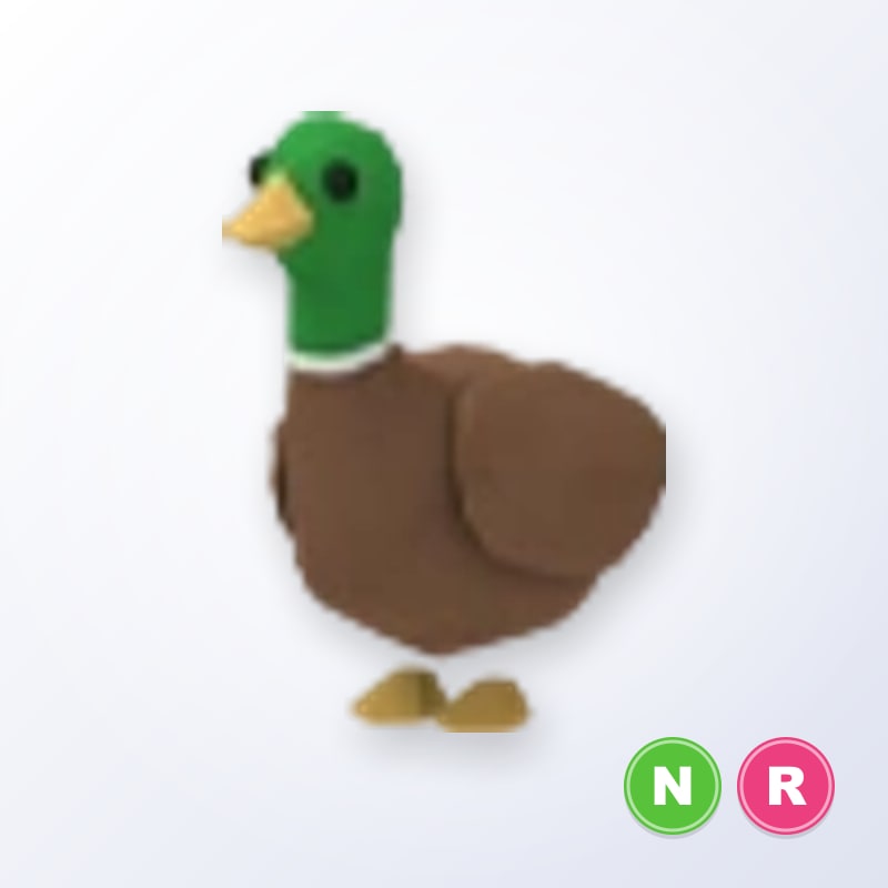 Drake NR | Adopt Me