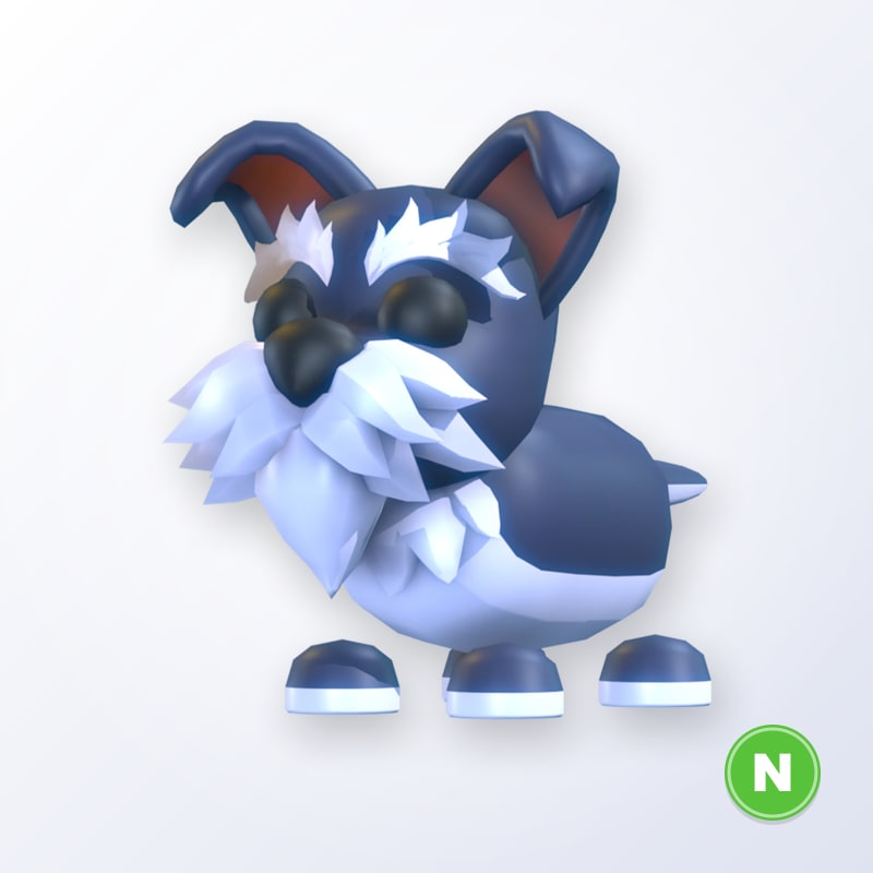 Mini Schnauzer N | Adopt Me