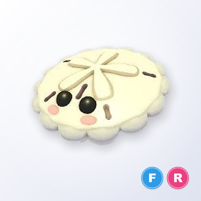 White Sand Dollar FR | Adopt Me