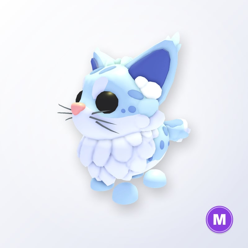 Maine Coon M | Adopt Me