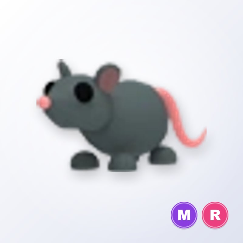 Rat MR | Adopt Me