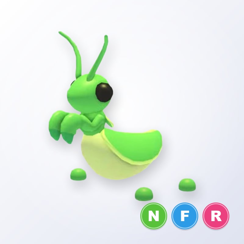 Praying Mantis NFR | Adopt Me