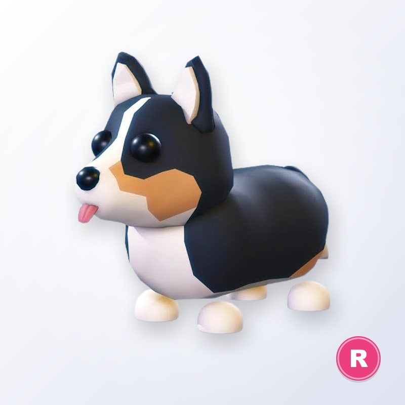 Royal Corgi R | Adopt Me