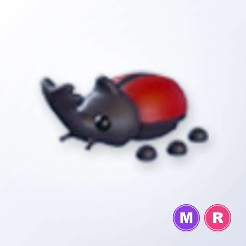 Rhino Beetle MR | Adopt Me