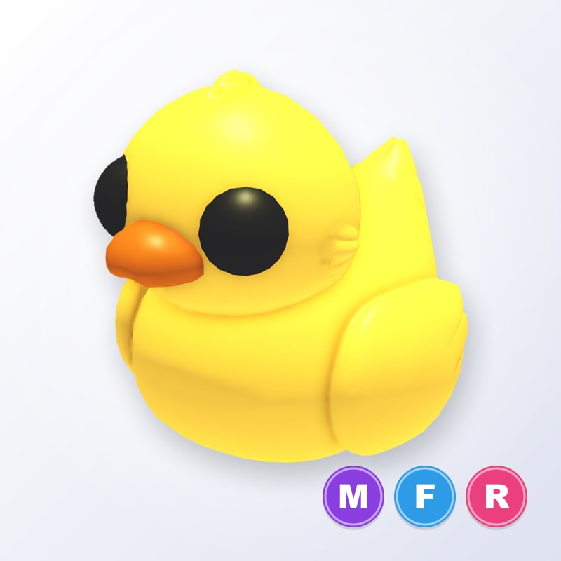 Rubber Ducky MFR | Adopt Me