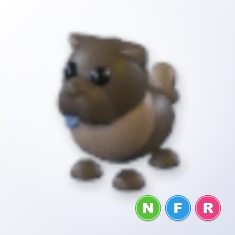 Chocolate Chow-Chow NFR | Adopt Me
