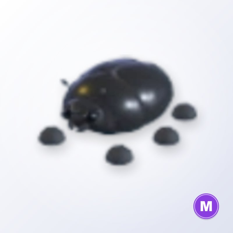 Giant Black Scarab M | Adopt Me