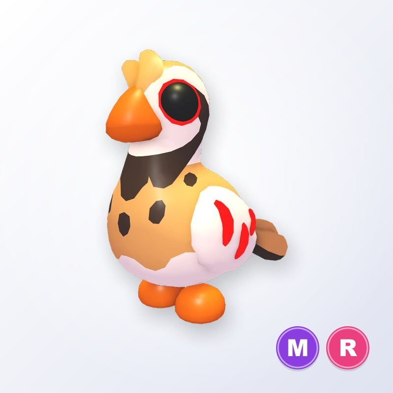 Partridge MR | Adopt Me